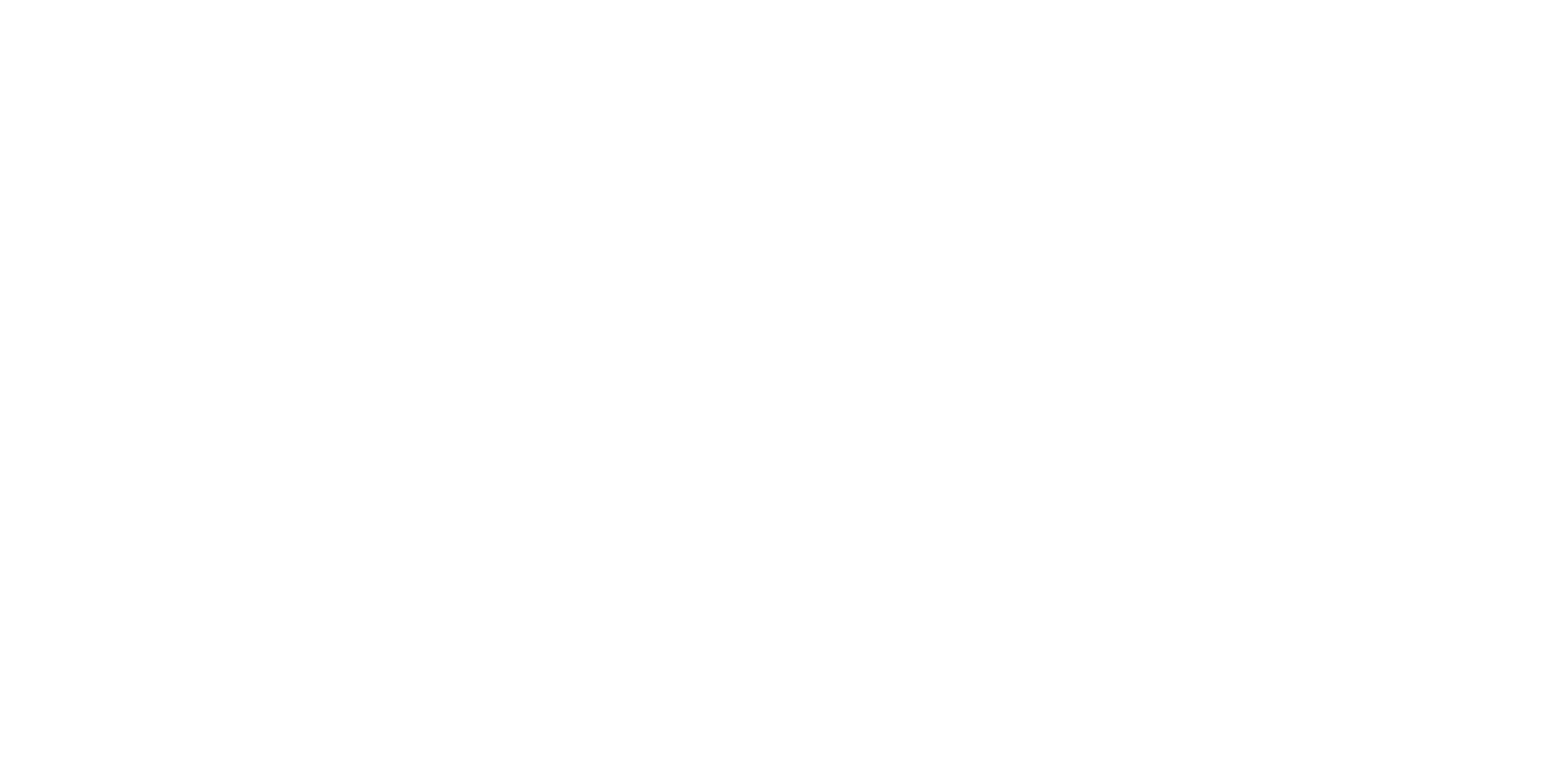 logo Vichy économie