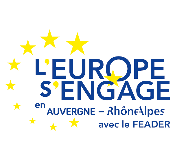 Logo L'Europe s'engage en Auvergne - RhoneAlpes